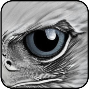 Eagle Eyes